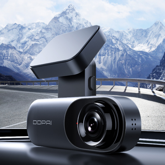 Car Dash Cam - Boho Roe