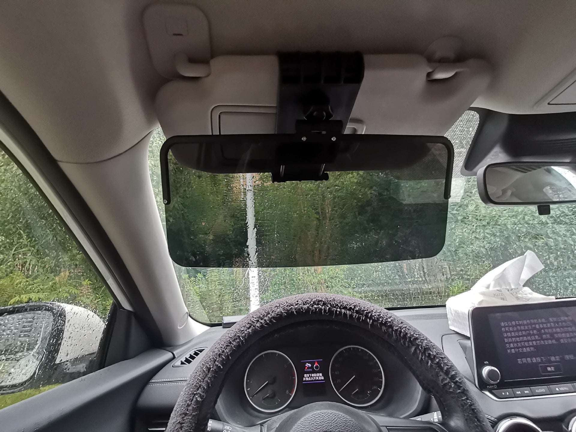 Polarized Car Sun Visor - Boho Roe